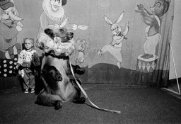 A young girl stood by a bear for a photo, the Old Circus, Moscow, 1996